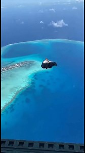 Gorilla Did Sky Diving 🤯🦍🦍 What started as a controlled jump quickly became something no one expected. The door opened. The wind hit. And without hesitation, the gorilla stepped forward. Seconds later, the parachute deployed — and the reactions behind the camera said everything. Calm in freefall. No panic. Just control. AI-generated for entertainment purposes. | mr zayn