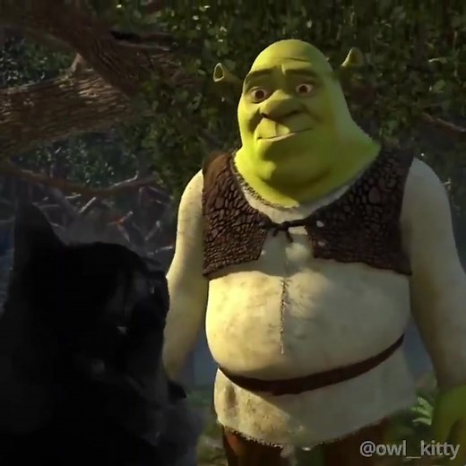 #catsoftiktok #catlover #cat #funny #nightcat #owlkitty #cats #shrek