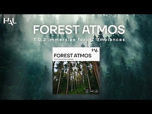 Introducing Forest Atmos | Sound Library