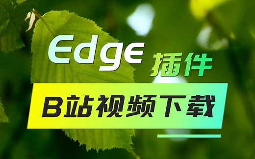 【PC】Edge 浏览器插件推荐 - B站视频下载