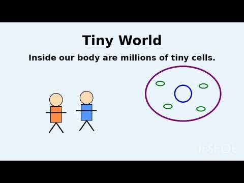 Human Cell. Parts of a Human Cell. Learn about Human Cell 🦠