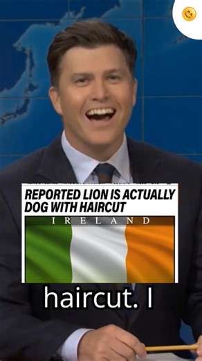 Dog With Lion Haircut #funny #snl #Shorts