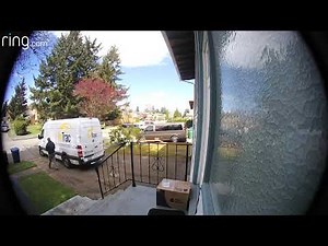 OnTrac delivery person throws box, video 1