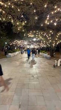 This is what Fundidora Park looks like at night