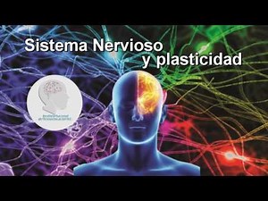 Sistema nervioso y plasticidad