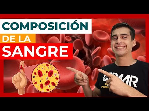 BLOOD COMPOSITION 🩸 (Easy) Function - Physiology