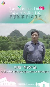 China's Guangdong enjoys a long history of tea planting, with Qingyuan's Yingde as one of the important tea production bases in the province, famous for Yingde black tea. In 2022, the comprehensive output value of Yingde black tea exceeded 6 billion RMB, and the number is expected to reach 7.5 billion RMB this year. On July 12, a promotion event featuring a series of Guangdong-made agricultural products is about to kick off in Rome, the capital of Italy. Yingde No.9 black tea, the specialty of Y