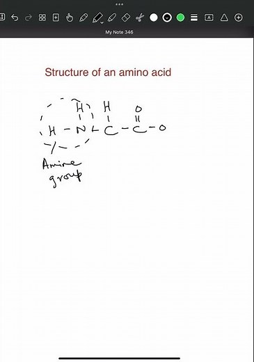Amino acid structure- AS Level Biology