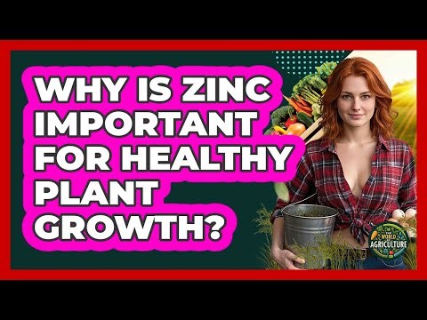 Why Is Zinc Important For Healthy Plant Growth?