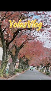 Weather change season #coldweather #travelawesome #followers #everyone #highlights | Yolanda Dayao Santiago