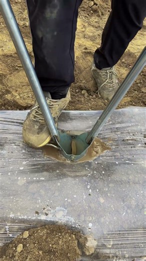 Watch how farmers plant seedlings with this tool 🌱🔥