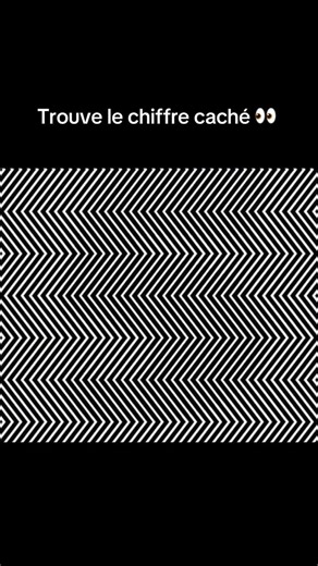 Musée de l’illusion Paris ©️ on Instagram: "Trouve le chiffre caché 👀 #opticalillusion #illusion #museedelillusion #museumofillusions"
