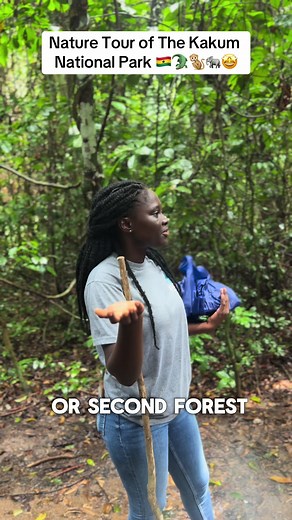 Explore the Enchanting Kakum National Park in Ghana