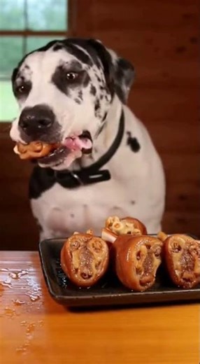 ASMR Dog Eating Juicy Meat 🐶 Soft Burp Sounds | Relaxing Mukbang for Dogs