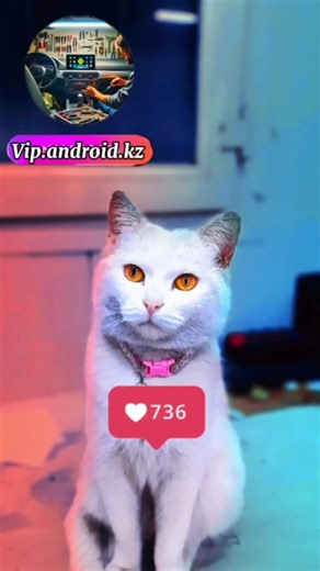 оцените друзья.)