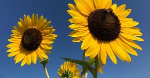 Beautiful Spring weekend