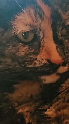 bed? no? paper? yes!