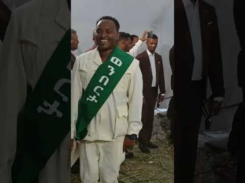 ዝገርም መርዓ ተምቤን ብሁራ ሰለስተ ወንበርታ ደሚቁ ትውዕል ሩሑስ ጋማ ንተመርዐውቲ👑👑🙏
