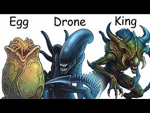 Your Life as Every Stage of the Xenomorph Life Cycle