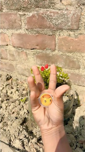 SUPER cute insects #animals #insects #bug #caterpillar #mantis