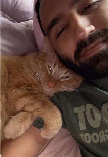 Understanding Cat Communication: What Do They Mean?