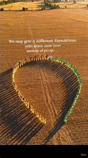 Thousands of People Create a STUNNING Formation! 🤯 #FestivalShorts