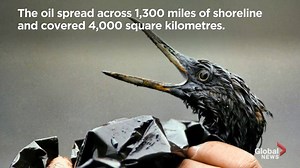 25K views · 125 reactions | It's the 30th anniversary of the Exxon Valdez oil spill that resulted in 40-million litres of cude oil pouring into the Gulf of Alaska. RELATED: https://globalnews.ca/tag/oil-spills/ | Global News | Facebook