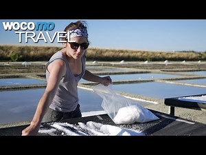 Discover France's Regions - Best of Île de Ré at the Atlantic Coast