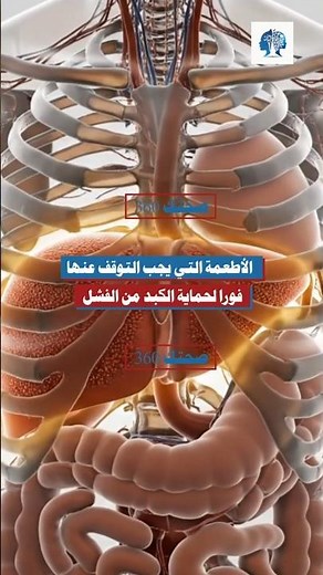 الأطعمة التي تدمر الكبد بصمت ويجب التوقف عنها فورا #الكبد #صحة_الجسم #نصائح_صحية