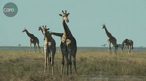 389K views · 342 reactions | Please show your support for protecting...