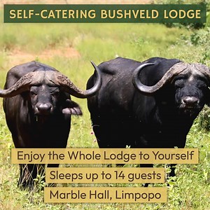 🦓🌿 Enjoy the perfect mix of nature and luxury at Sabella Bushveld Lodge. Situated just a scenic 2 to 2.5-hour drive from Johannesburg and Pretoria, this spacious, self-catering property is located near Marble Hall in the breathtaking Limpopo province. ✅ The entire self-catering lodge to yourself! ✅ 6 luxury chalets, each with ensuite bathrooms ✅ Accommodates up to 14 guests ✅ Main house with kitchen, dining, and lounge areas ✅ Fully-equipped gourmet kitchen ✅ Dining tables with seating for up 