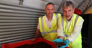 Vaucluse : des larves de mouche pour nourrir poissons, cochons et poulets