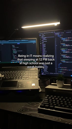 Embracing the Challenges of IT Programming