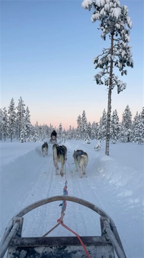 Lucinda on Instagram: "incoming lapland content.. someone pinch me 🥹♡❄️ #lapland #finland #transition"