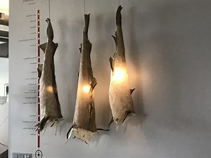 100% FISH PROGRAMME: LEADING THE WAY IN FISH UTILISATION