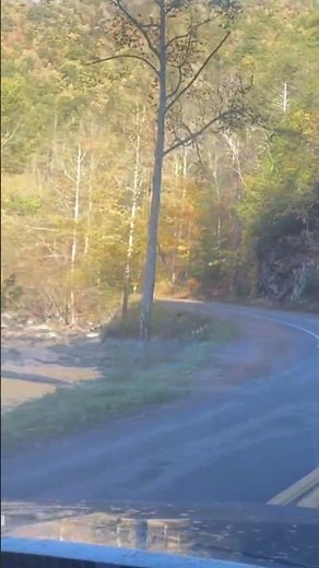 Scenic Drive Through Newfound Gap Road – Smoky Mountains