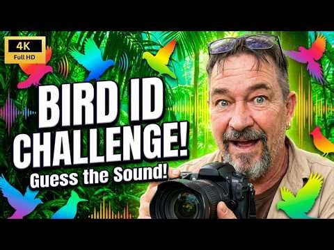 Amazing Birds of Thailand | Guess The Bird.. #birds #nature #wildlife