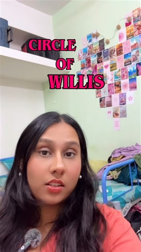 Lekha on Instagram: "Willi easy☺️ pt.2 of stroke localization, circle of wilis ( Blood supply of Brain) sorry for the vvvv late post ;-; . . . . #medicine #mnemonics #study #anatomy #neetpg #clinics #mbbs #india"