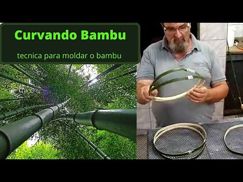 Bending Bamboo, technique for shaping bamboo