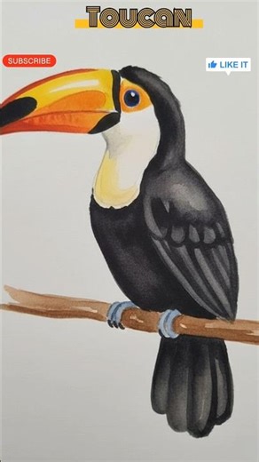 Big Beak, Bright Colors 🐦🌈 | Easy Toucan Drawing & Coloring for Kids #toucanbird #trending