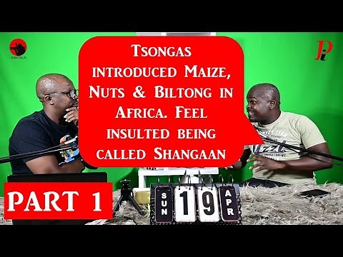 Historian, Activist & Author Explains Tsonga History, SA Tribes, Colonialism, Zulu & Shangaan Links