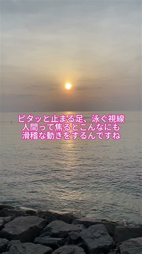 毎日ルンルンで「足疲れない！」って言ってるけど、それ私が黒く塗ったAmazonの段ボールだからね。#浮気発覚 # #旦那 #LINE #ピットソール #夫婦の日常 #サレ妻