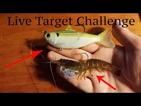 Live Target Lure Challenge: Are They Worth It?