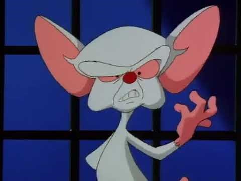 Minus et Cortex le vrai générique