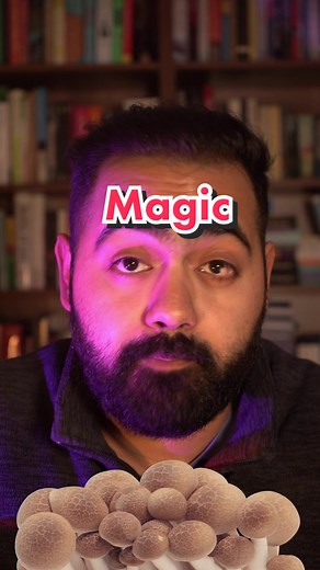 Magic Mushrooms and Depression: New Study Shows Promising Results