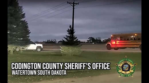 It happens this fast. Milliseconds and inches away from changing families forever. Thankfully the oldest sibling was alert enough to pull his little brother back off the road in time. A near miss. The flashing red lights and stop sign aren’t suggestions. Lives depend on you stopping so children can get on and off the bus safely. Failing to stop for the bus is a misdemeanor, but nearly running over a kindergartner is likely to land you in jail for reckless driving. I hope everyone sharing the roa