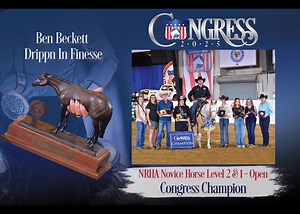 All American Quarter Horse Congress on Reels