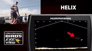 126 reactions · 19 shares | Join In-Depth Outdoors Host James Holst and Connor Bowen in this short clip using Humminbird Mega Live to vertical jig for King Salmon. | In-Depth Outdoors | Facebook