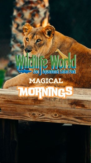 Wake up on the WILD side and start your day by experiencing the beauty of wildlife at Wildlife World Zoo. Mornings are different here, come and see for yourself! Be sure to head over to Safari Park and spend the morning enjoying our newest addition, a baby Pygmy Hippo waking up and exploring with her mom. Scan the QR code in front of their exhibit to cast your vote to name the baby! Visit wildlifeworld.com to save $6.00 per ticket | Wildlife World Zoo