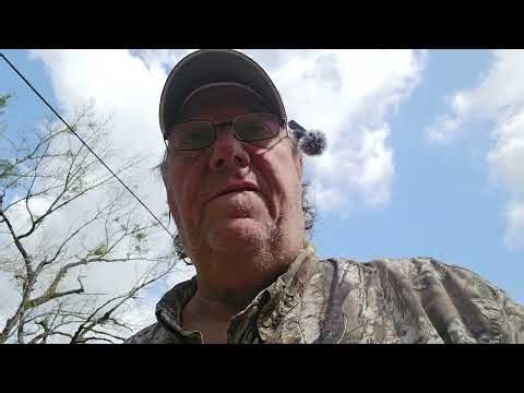 TYM 5520c Tractor 200 Hour Review " A BEAST OF A TRACTOR"